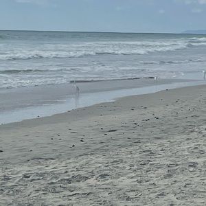 Meet your Posher, Jaime